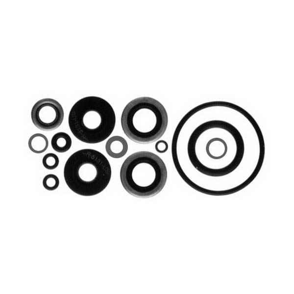 Sierra Lower Unit Seal Kit