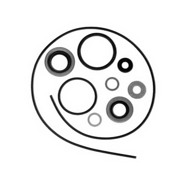 Sierra Lower Unit Seal Kit