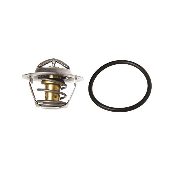 Sierra Thermostat - Raw Water