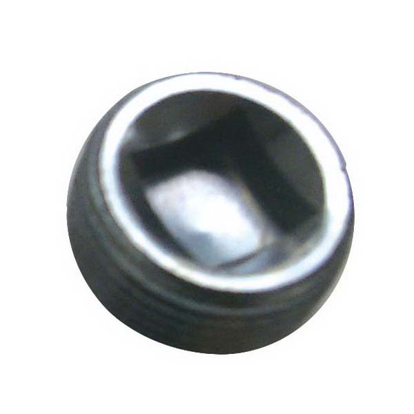 Sierra Pipe Plug