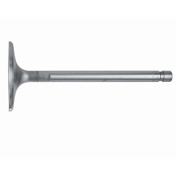 Sierra Intake Valve 202 In