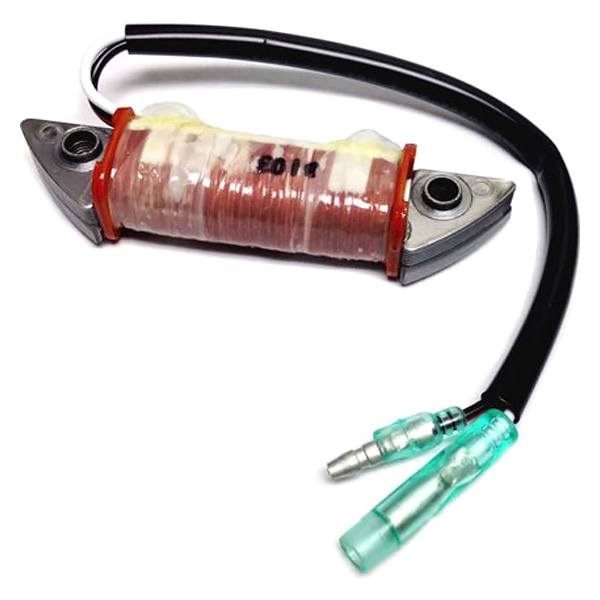 Sierra Exciter Coil