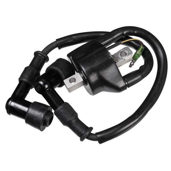 Sierra Ignition Coil