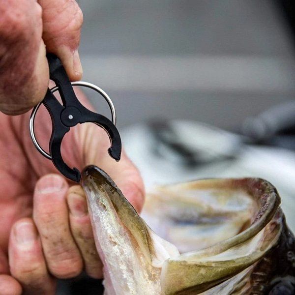 T-H Marine G-FORCE Conservation Cull System