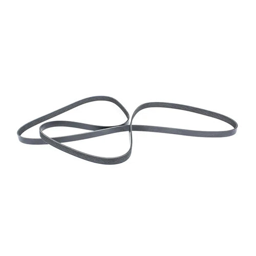 Sierra Serpentine Belt