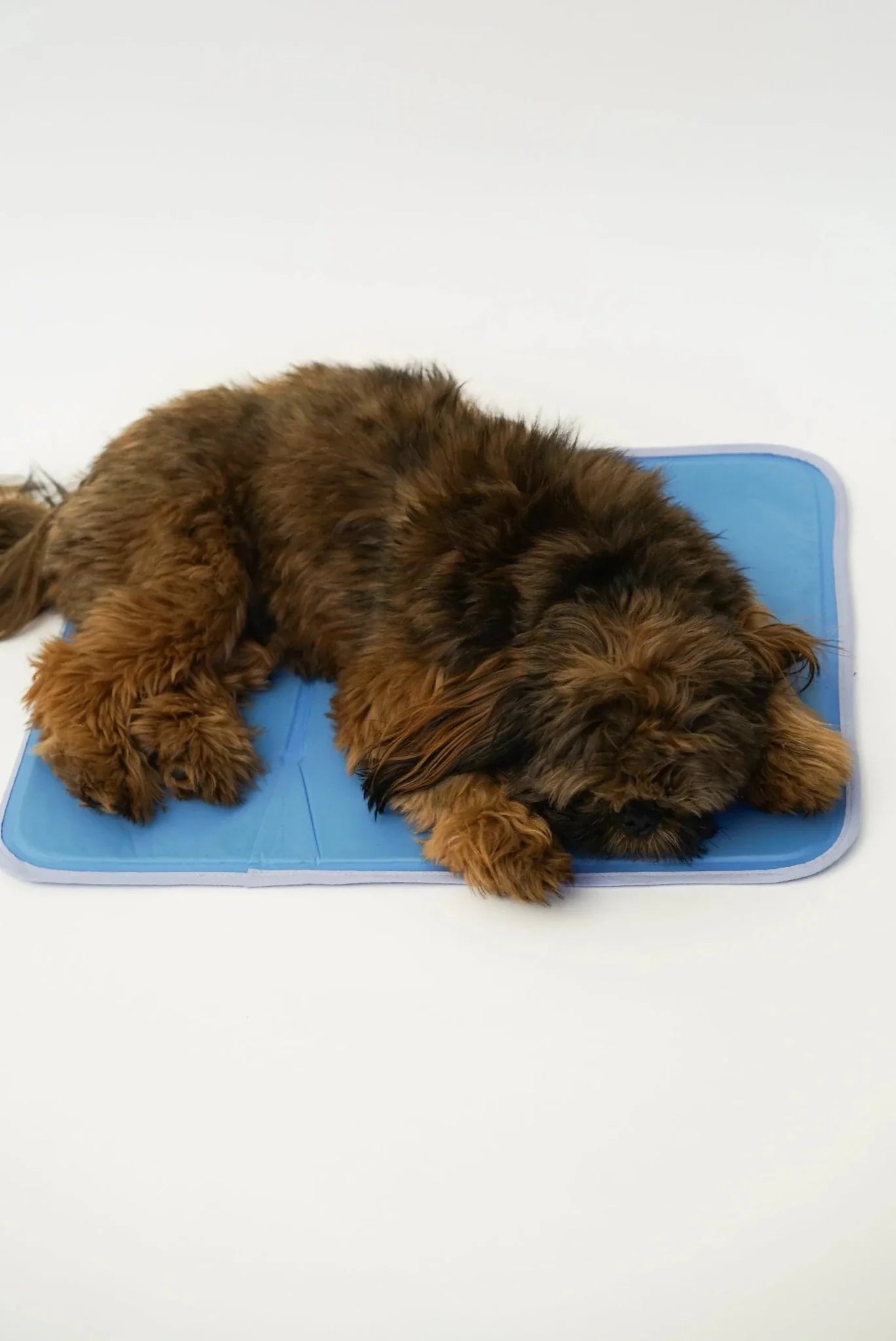 Cool Pet Pad - Clinch River Fishing USA