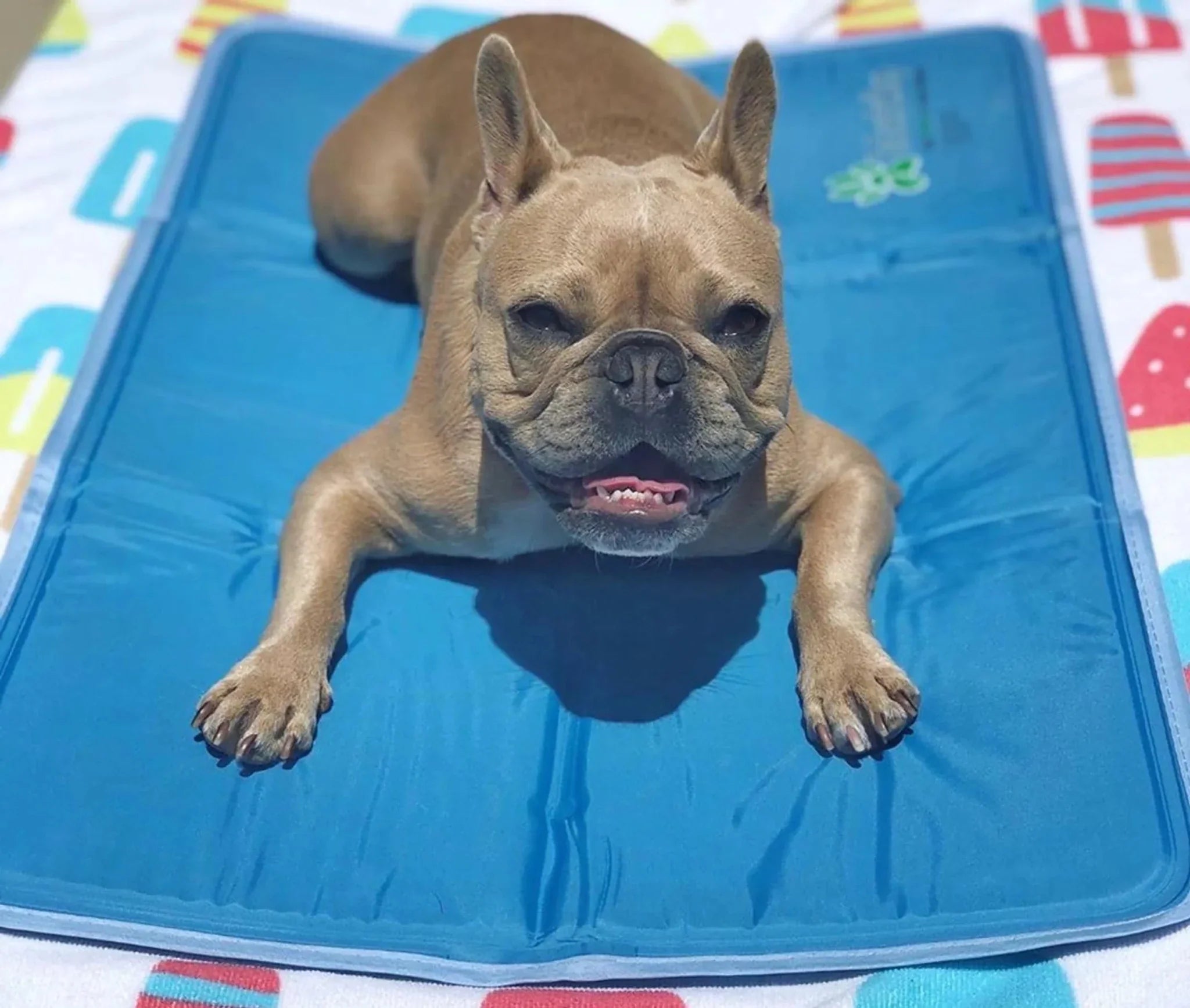 Cool Pet Pad - Clinch River Fishing USA