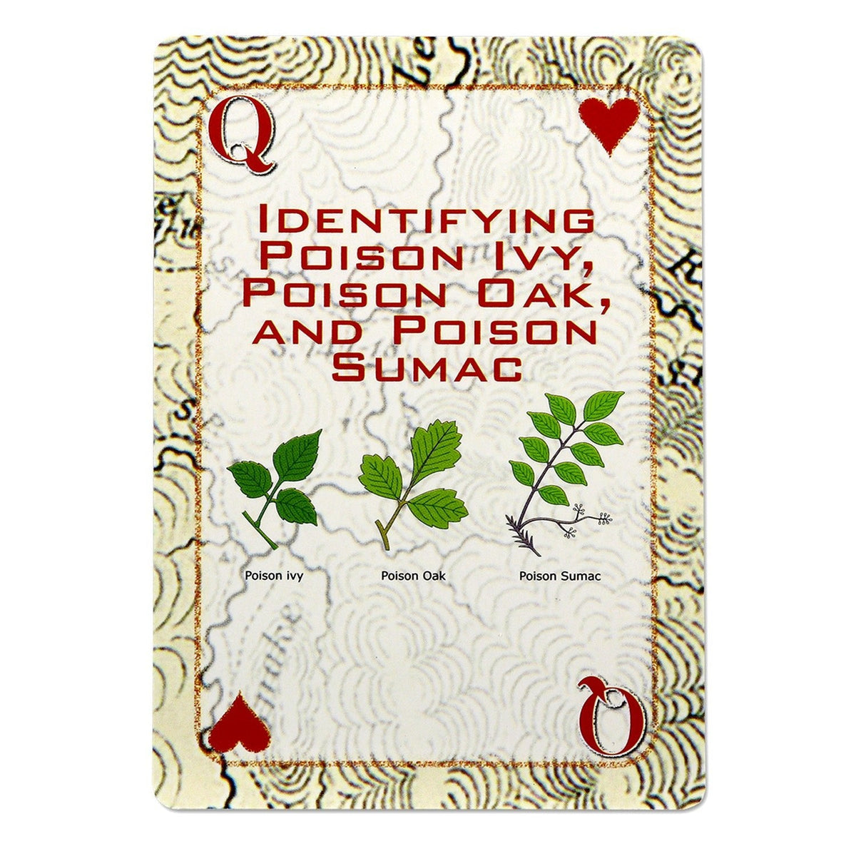 Deck of Survival Playing Cards - Clinch River Fishing USA