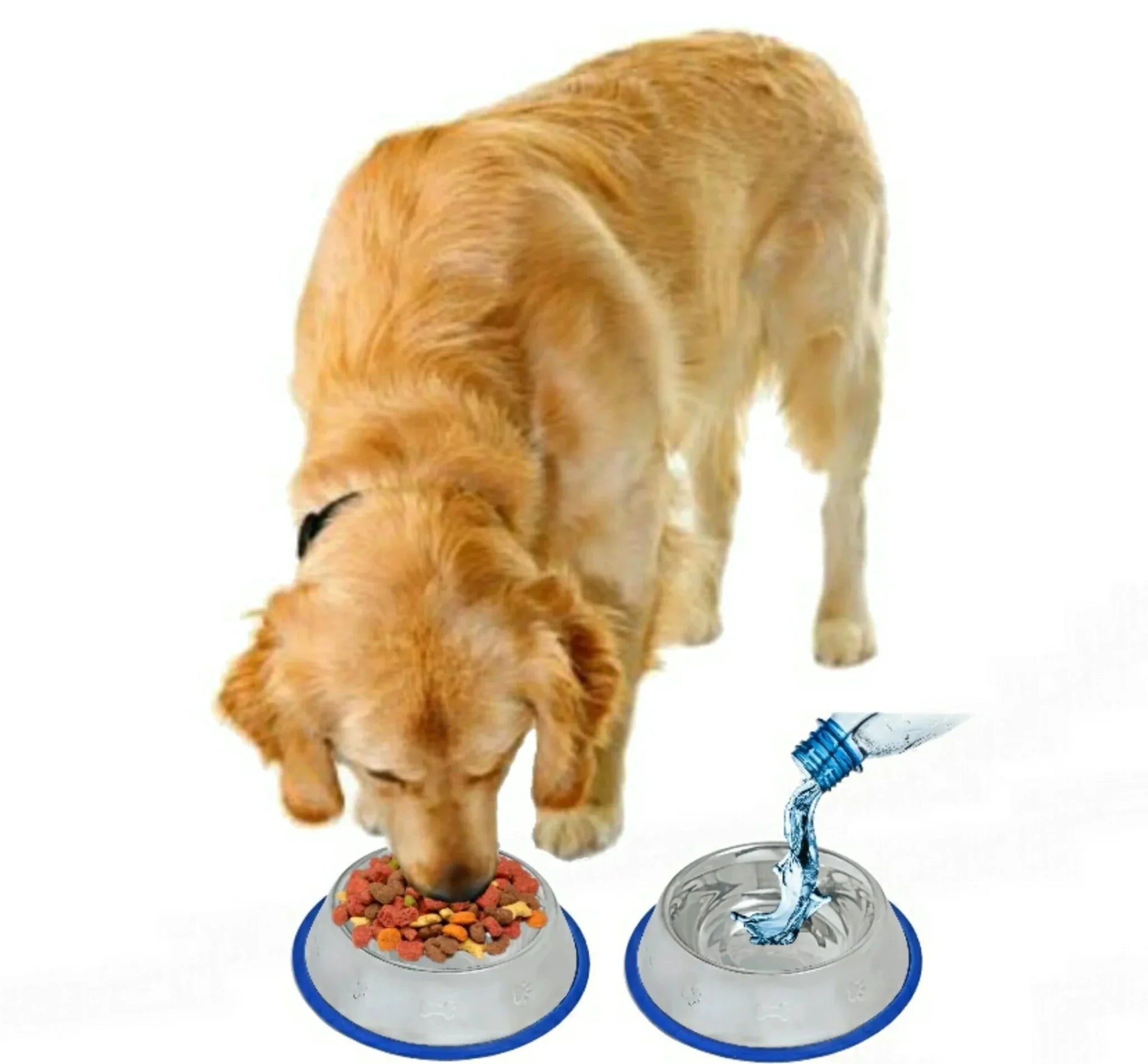 Etched Stainless Steel Dog Bowls with Blue Silicone Base - Clinch River Fishing USA