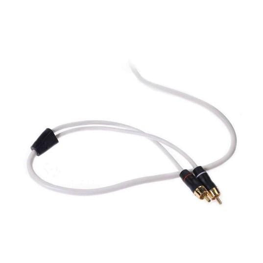 FUSION MS-RCA12