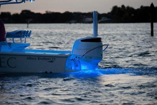 LUMITEC SeaBlaze Mini LED Underwater Light
