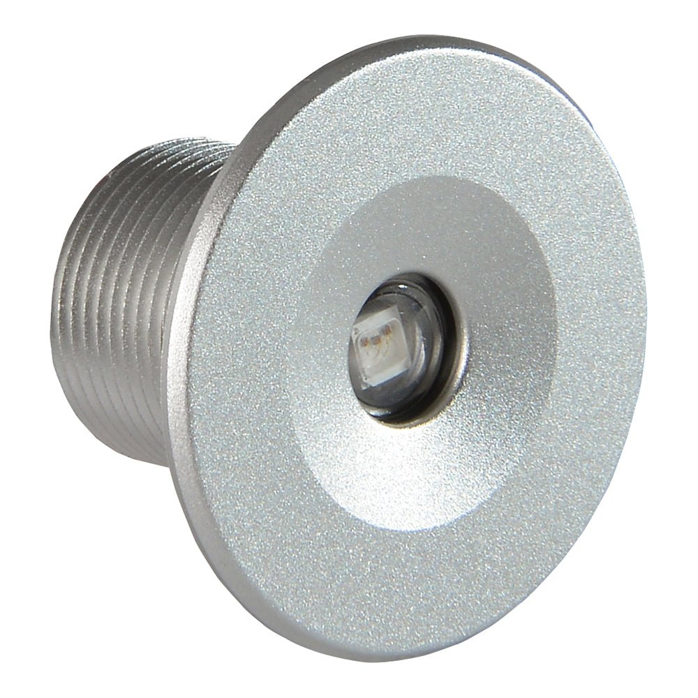 Lumitec Echo Courtesy Light - Brushed Housing - White Light - Clinch River Fishing USA