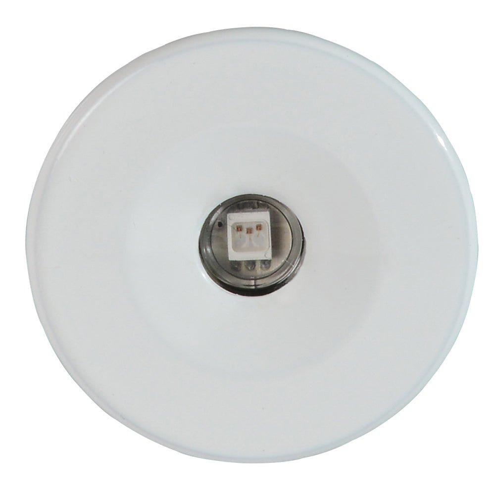 Lumitec Echo Courtesy Light - White Housing - Red Light - Clinch River Fishing USA