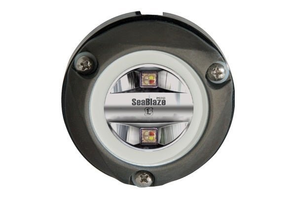 Lumitec Zambezi Mini Spectrum PLI RGBW FOR PONTOON BOATS Anodized Aluminum 12/24v - Clinch River Fishing USA