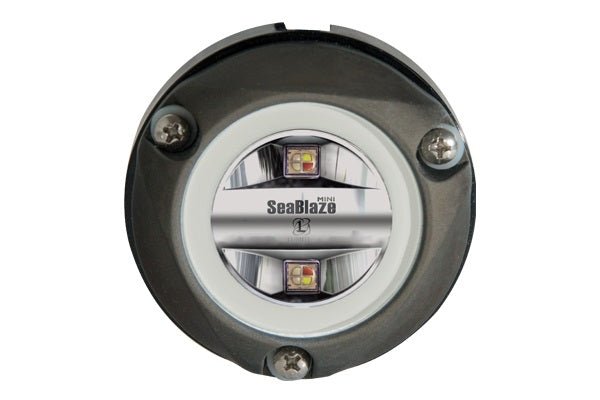 Lumitec Zambezi Mini Spectrum PLI RGBW FOR PONTOON BOATS Anodized Aluminum 12/24v - Clinch River Fishing USA