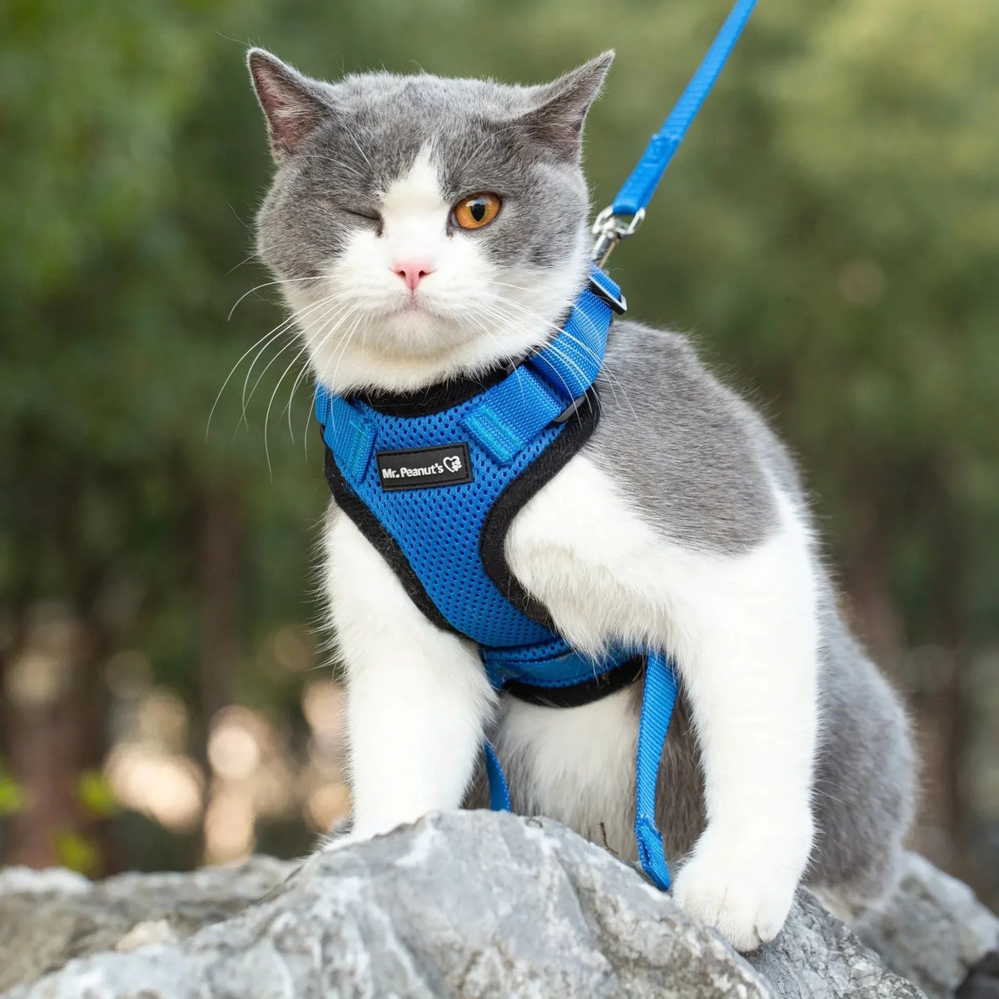 Mr. Peanut's PurrTrek Reflective Cat Harness with Matching Leash - Clinch River Fishing USA