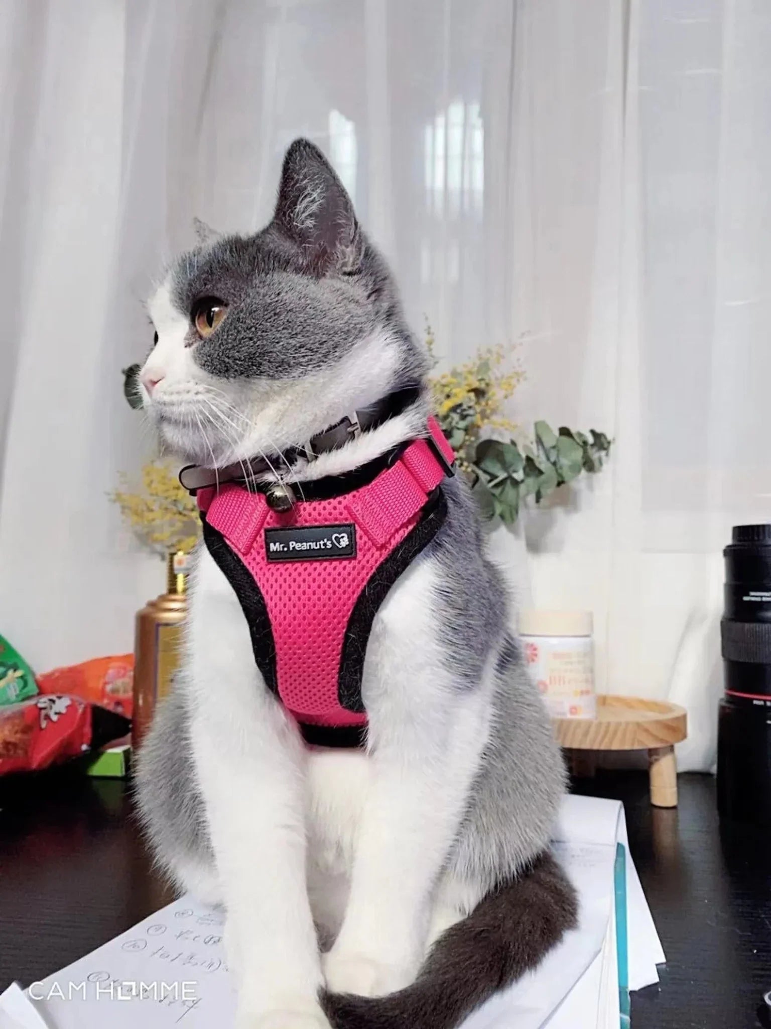 Mr. Peanut's PurrTrek Reflective Cat Harness with Matching Leash - Clinch River Fishing USA