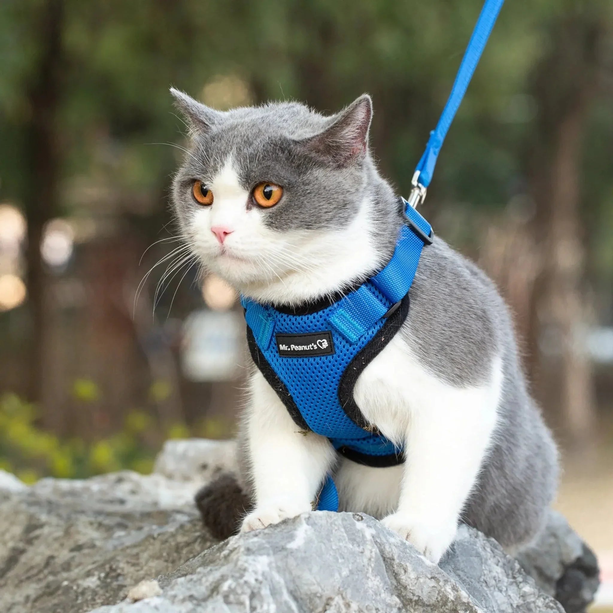 Mr. Peanut's PurrTrek Reflective Cat Harness with Matching Leash - Clinch River Fishing USA