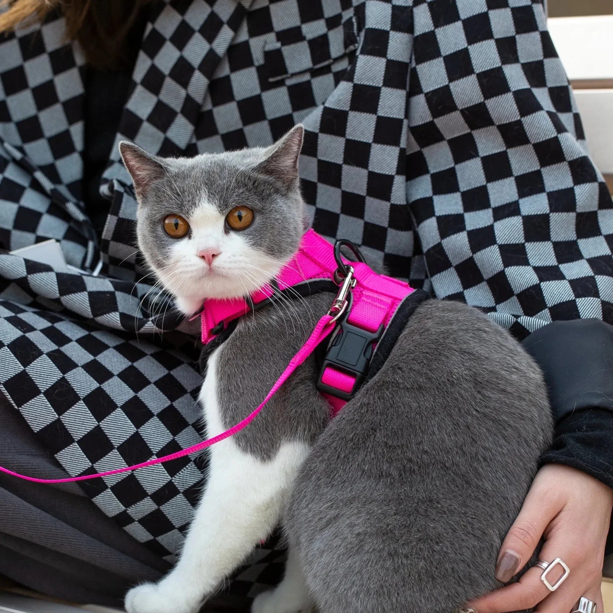 Mr. Peanut's PurrTrek Reflective Cat Harness with Matching Leash - Clinch River Fishing USA
