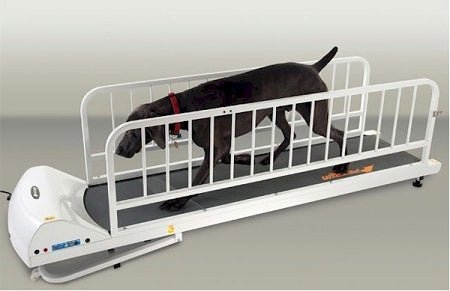 PetRun PR725 Dog Treadmill - Clinch River Fishing USA
