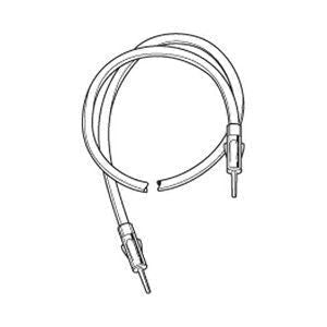 SHAKESPEARE AM/FM stereo 10' ext. cable | 4352 - Clinch River Fishing USA