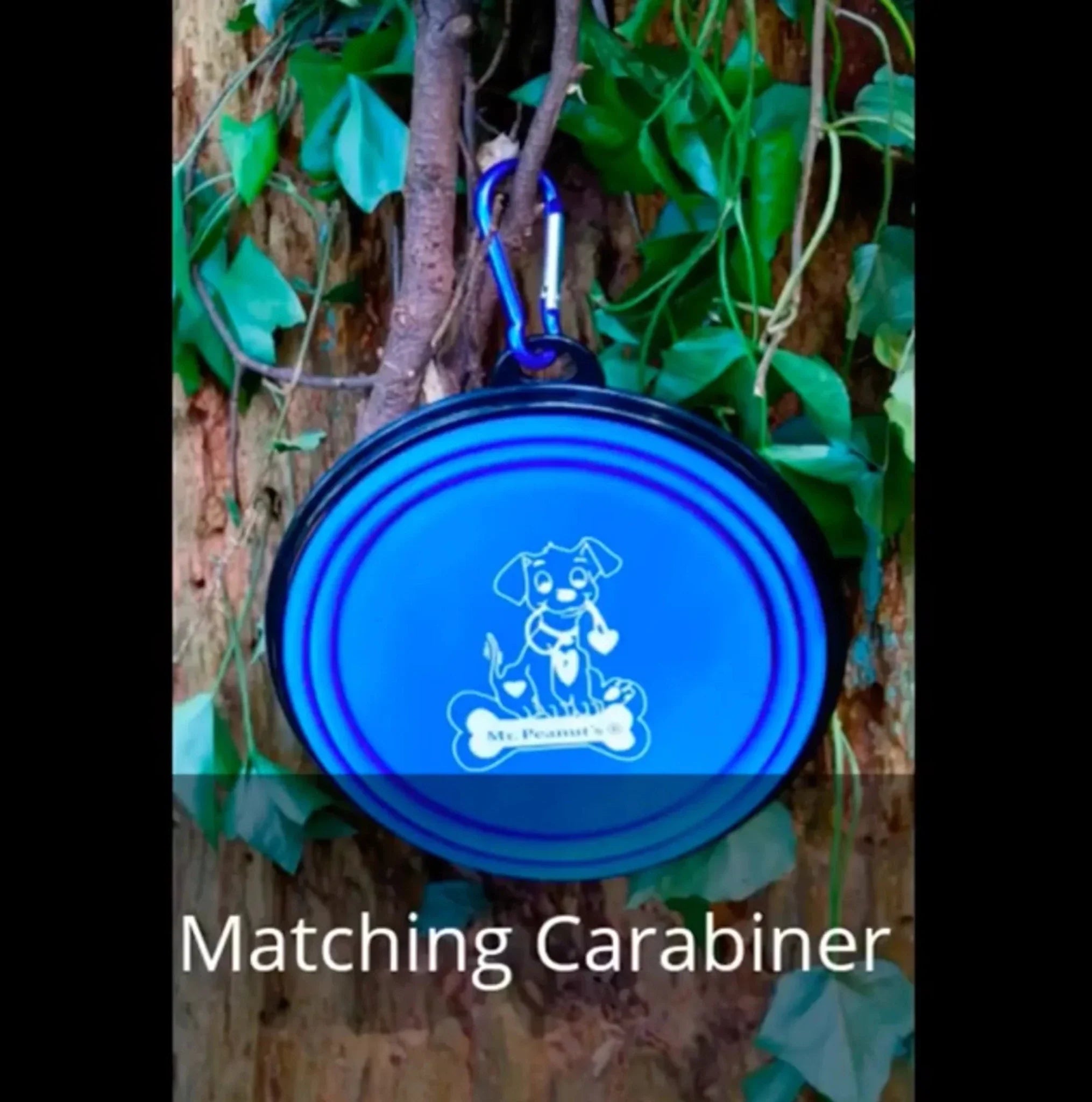Single Blue Silicone Collapsible Travel Bowl - Clinch River Fishing USA