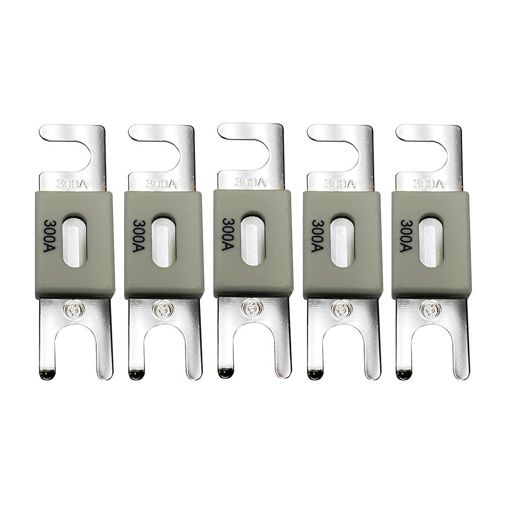 Victron ANL - Fuse 300A/80V f/48V Products (Package of 5) - Clinch River Fishing USA